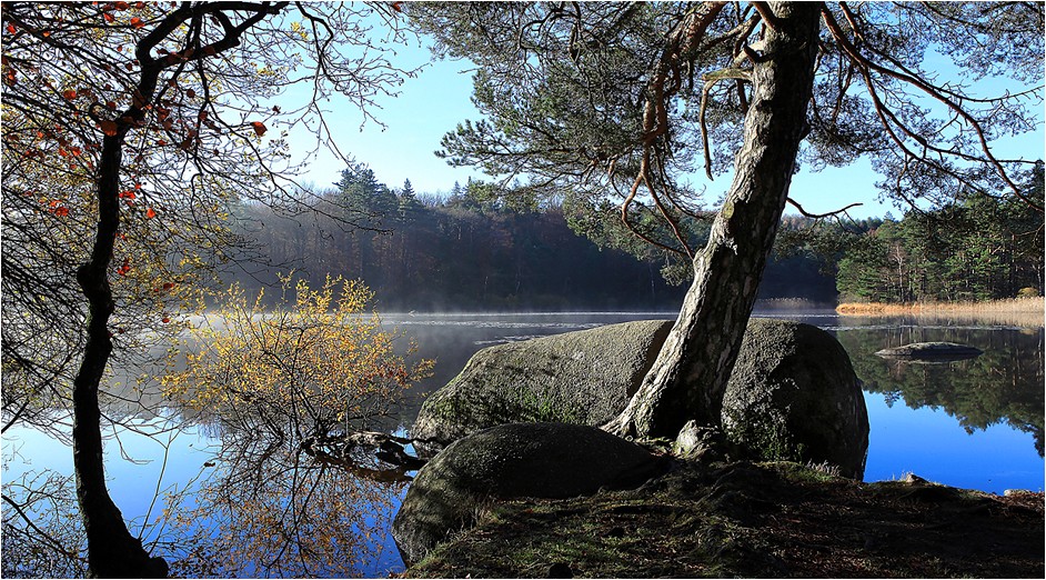 REVERIE DE COULEURS