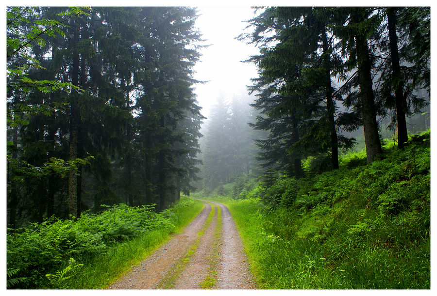 REVERIES D'UN PROMENEUR SOLITAIRE