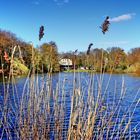 Revierpark Nienhausen  in Gelsenkirchen