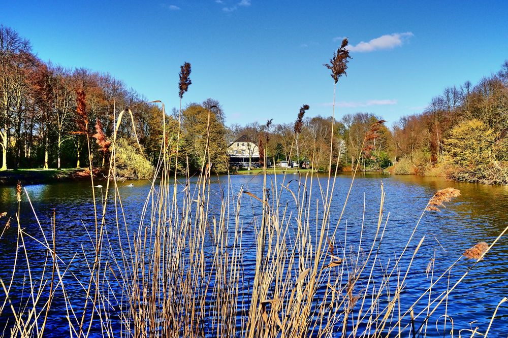 Revierpark Nienhausen  in Gelsenkirchen