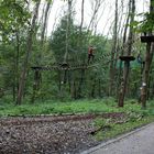 Revierpark Wischlingen in Dortmund #7 -Tree2Tree