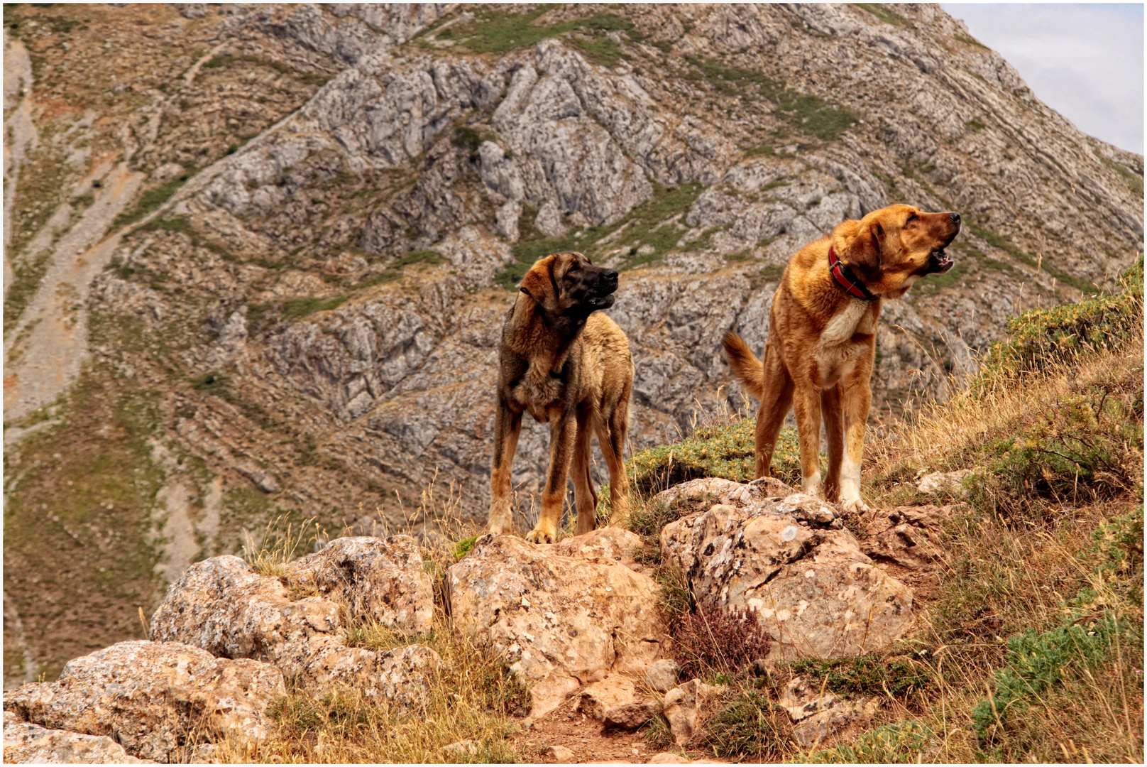 REYES EN SU TIERRA