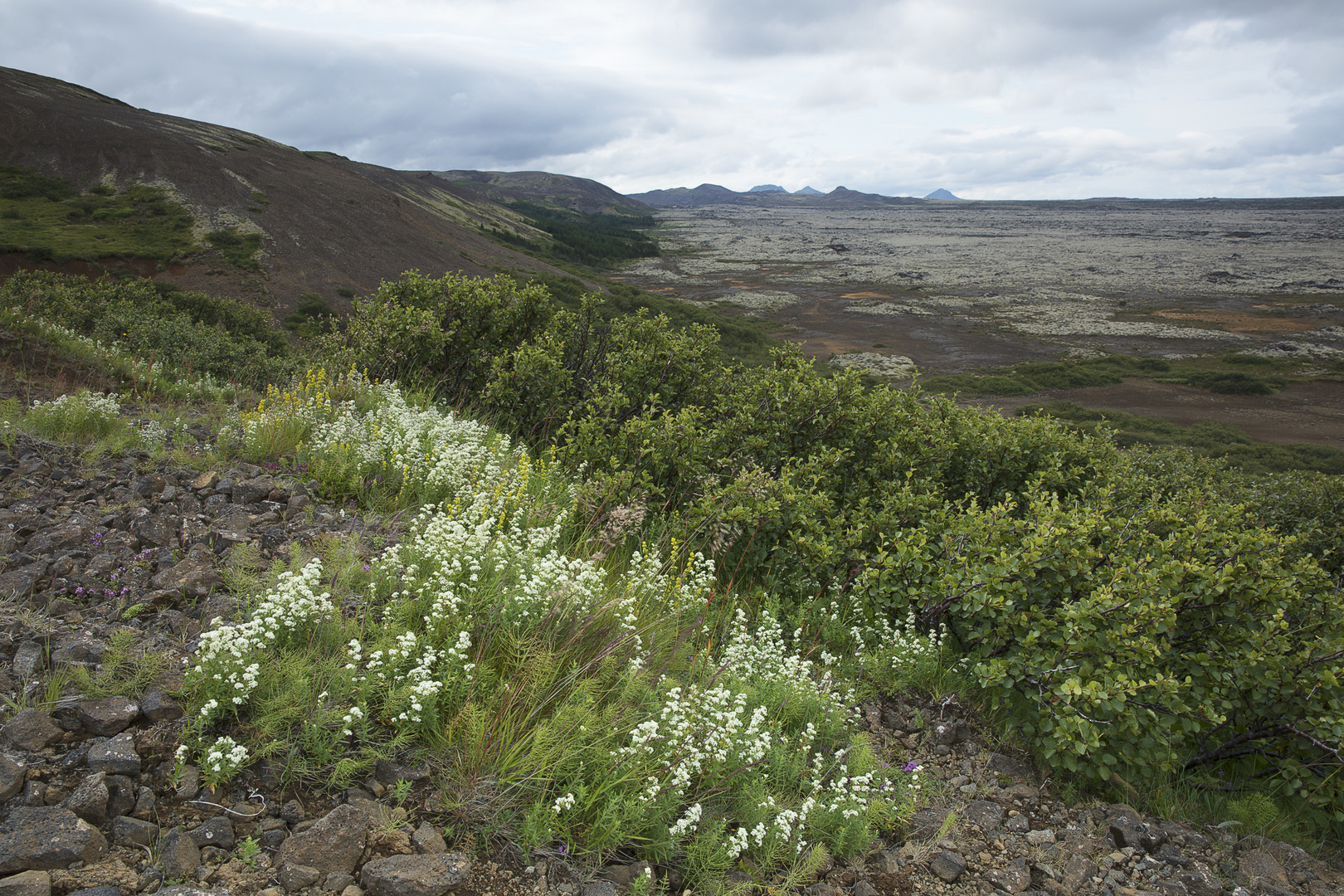 Reykjanes gen Westen