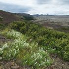 Reykjanes gen Westen