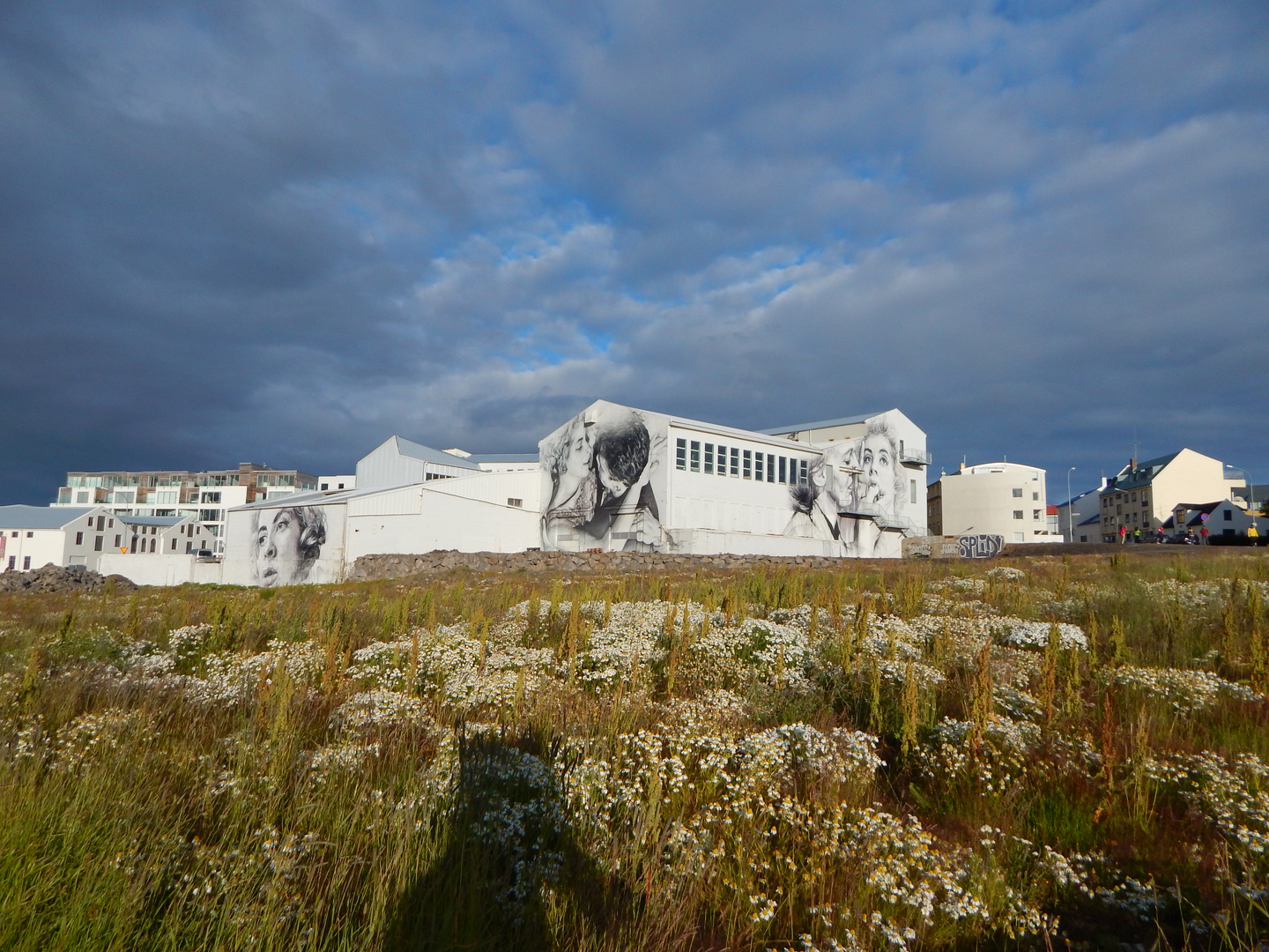 Reykjavik