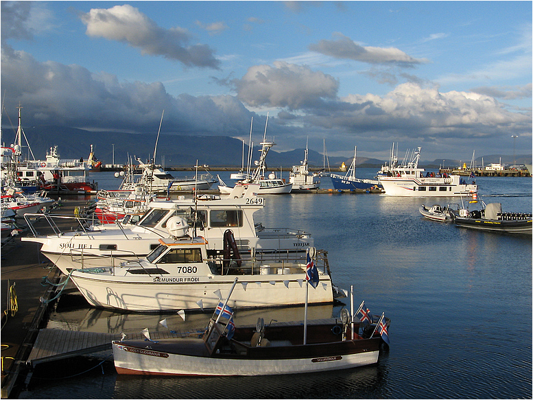 Reykjavik- alter Hafen