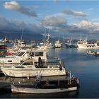 Reykjavik- alter Hafen