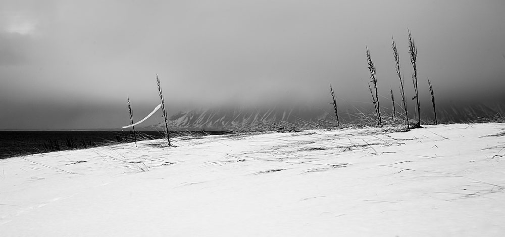 reykjavik