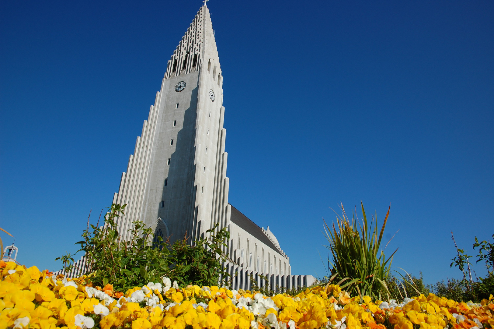 Reykjavik Kirche im Sommerkleid