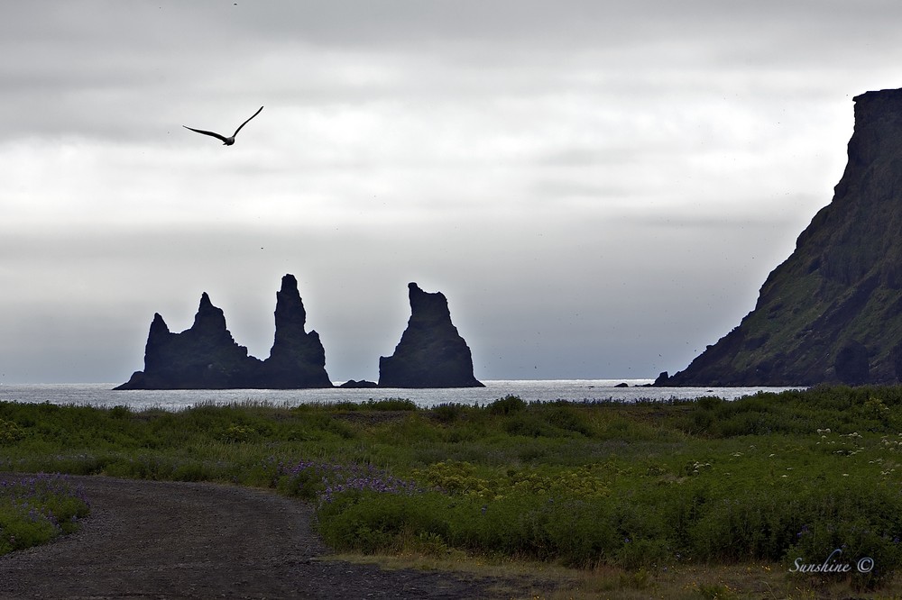 Reynisdrangar