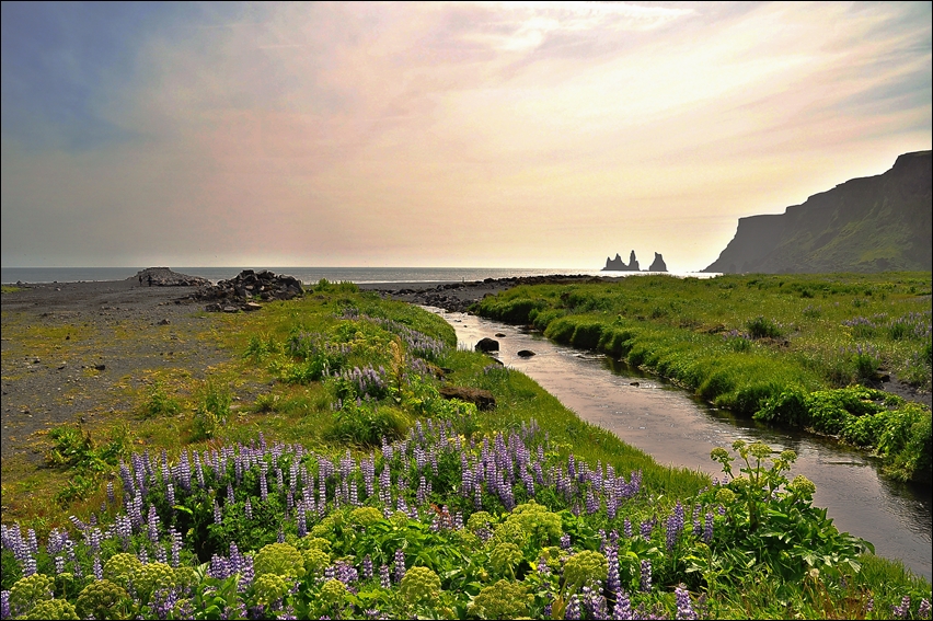 Reynisdrangar