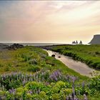 Reynisdrangar