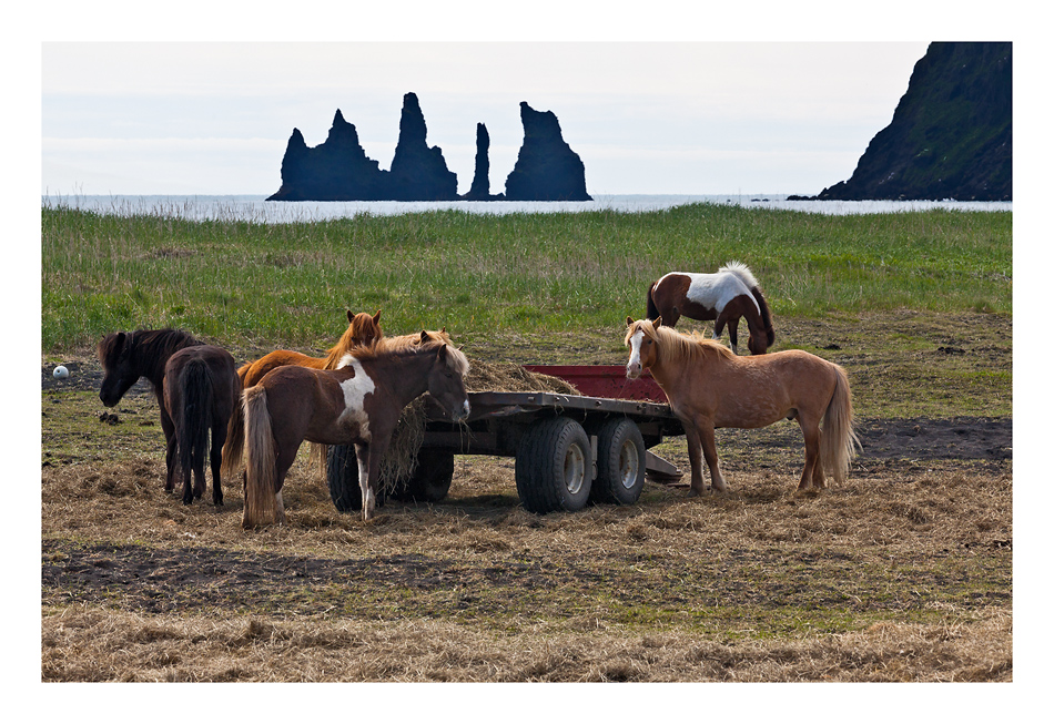 Reynisdrangar mal anders - IS 2013 #106