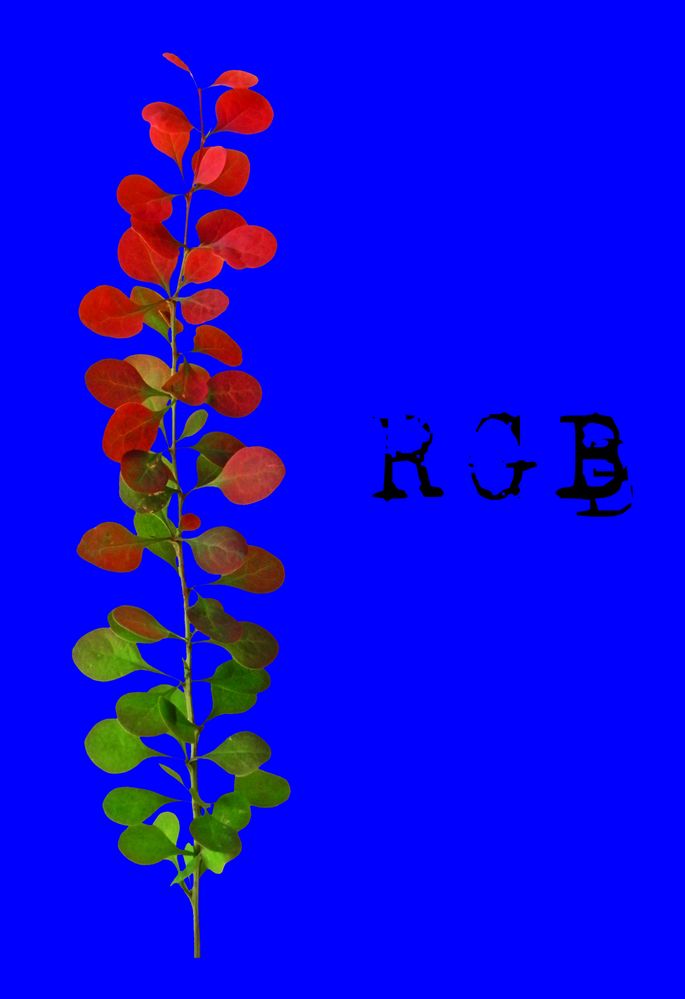 RGB