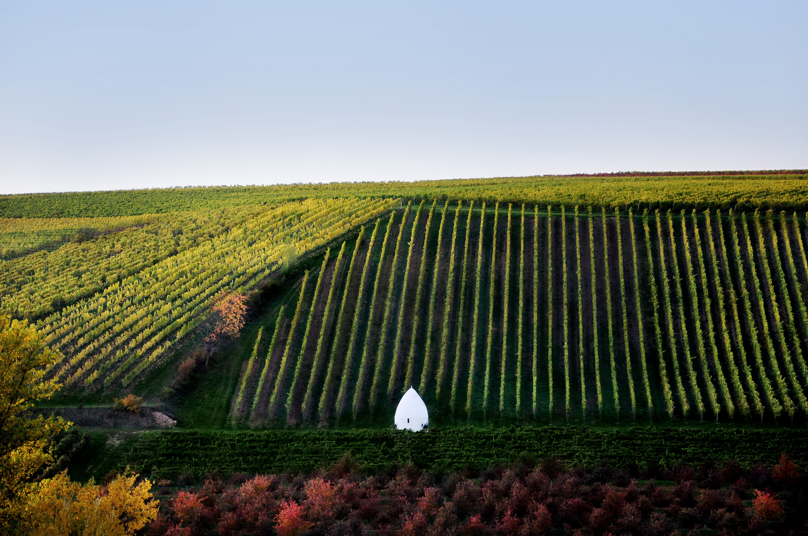 rh+ Rheinhesen Trullo