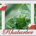 ~ Rhabarber ~