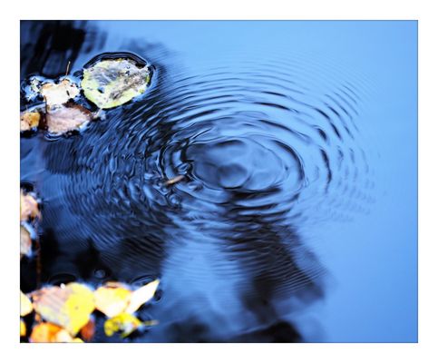 ‚Rhapsodie in blau Molitors Mühle‘