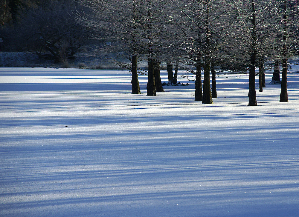 Rhapsody in Blue....