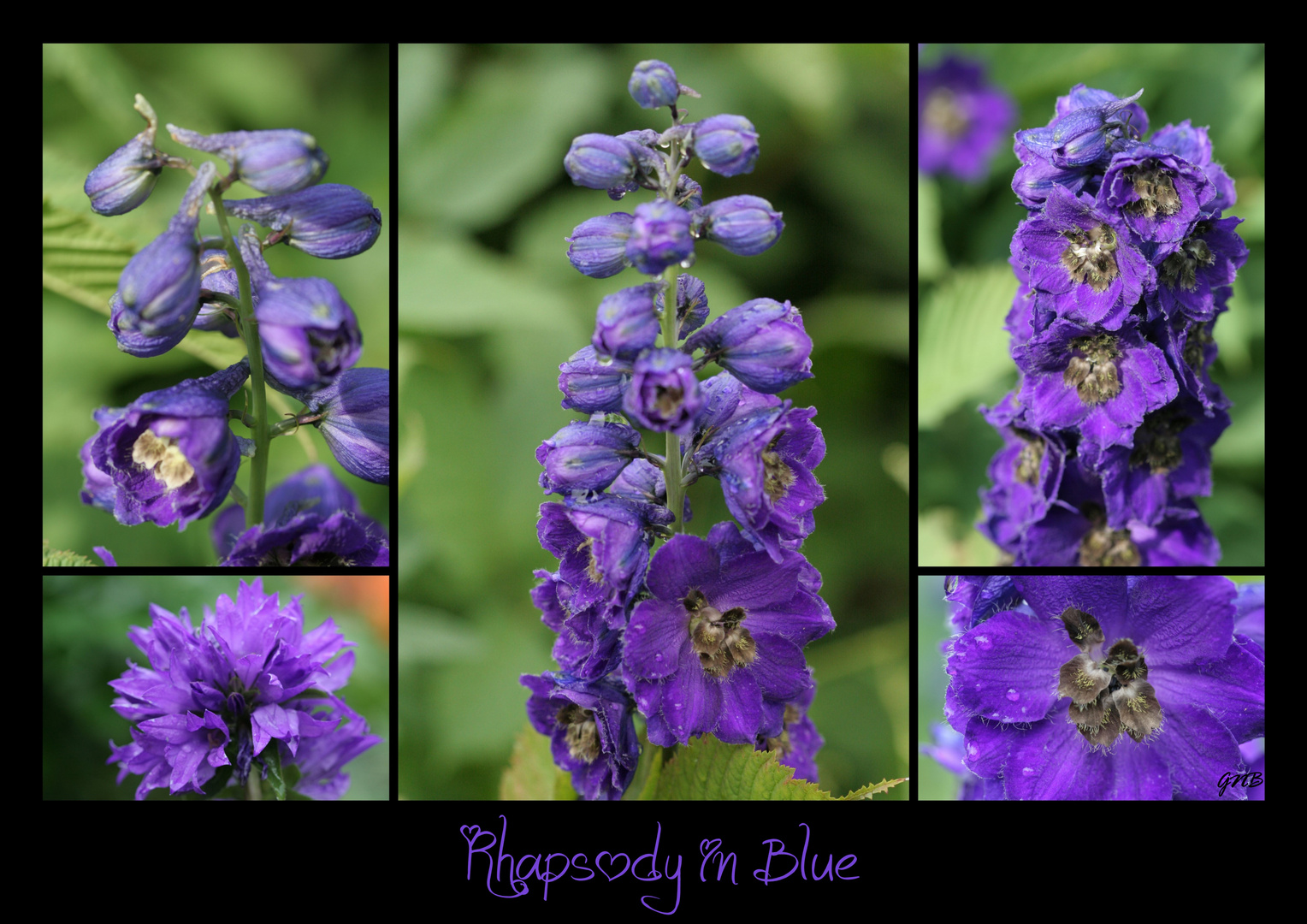 Rhapsody in Blue