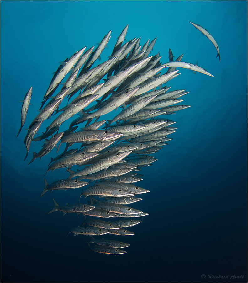 Rhapsody In Blue Foto & Bild world, meer, natur Bilder auf