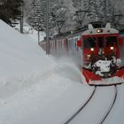 Rhb Winter 2009 im Val-Bever