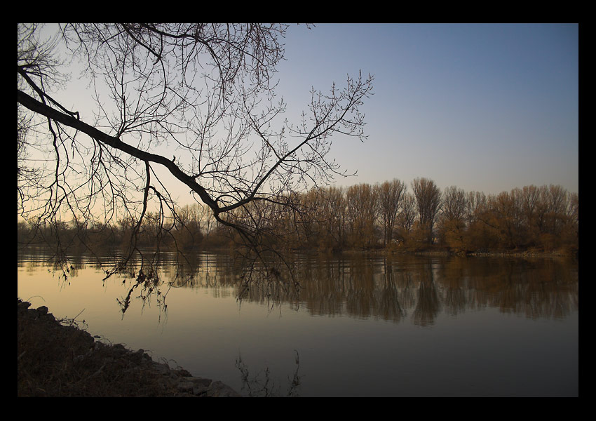 Rhein 03