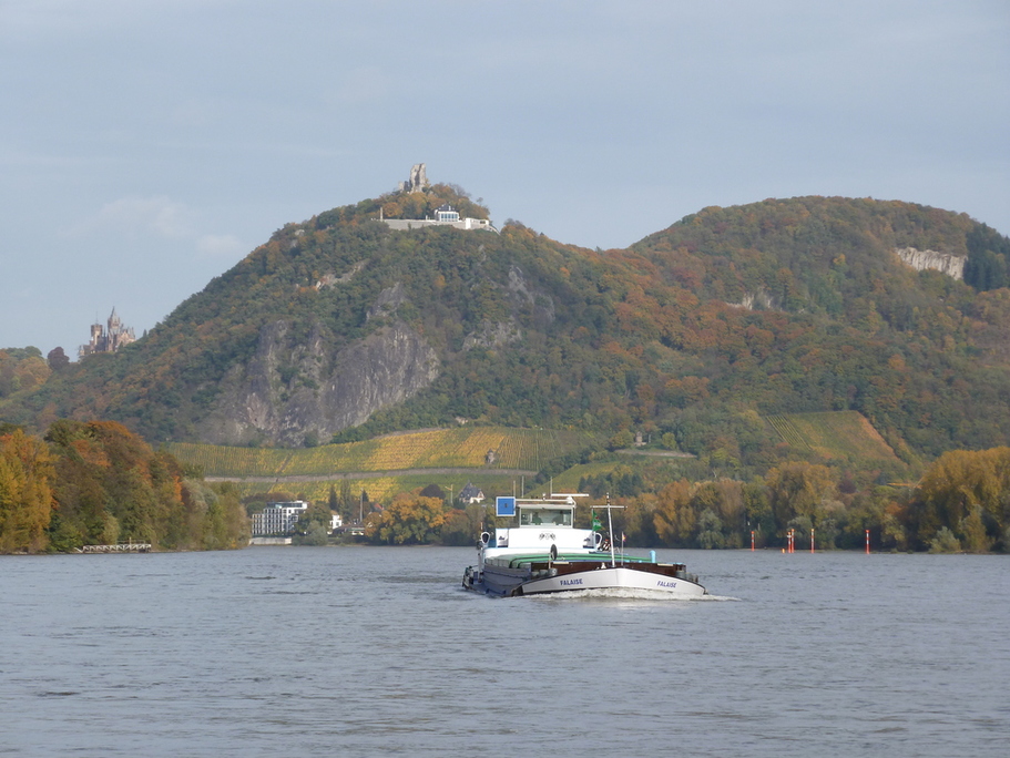 Rhein 2013