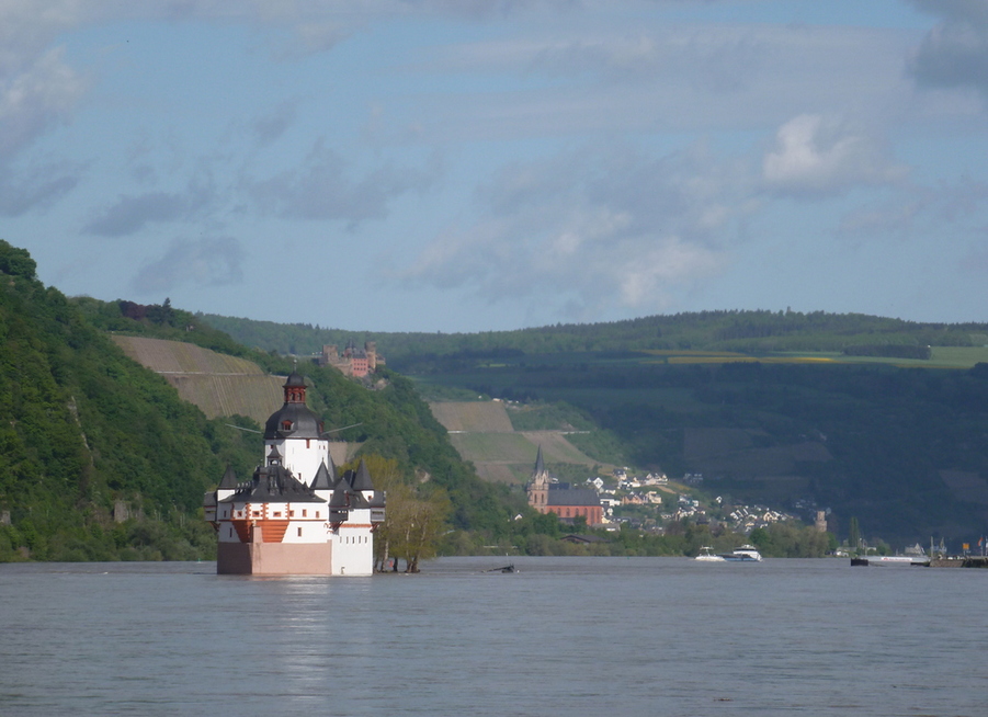 Rhein 2015