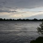 Rhein