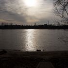 Rhein