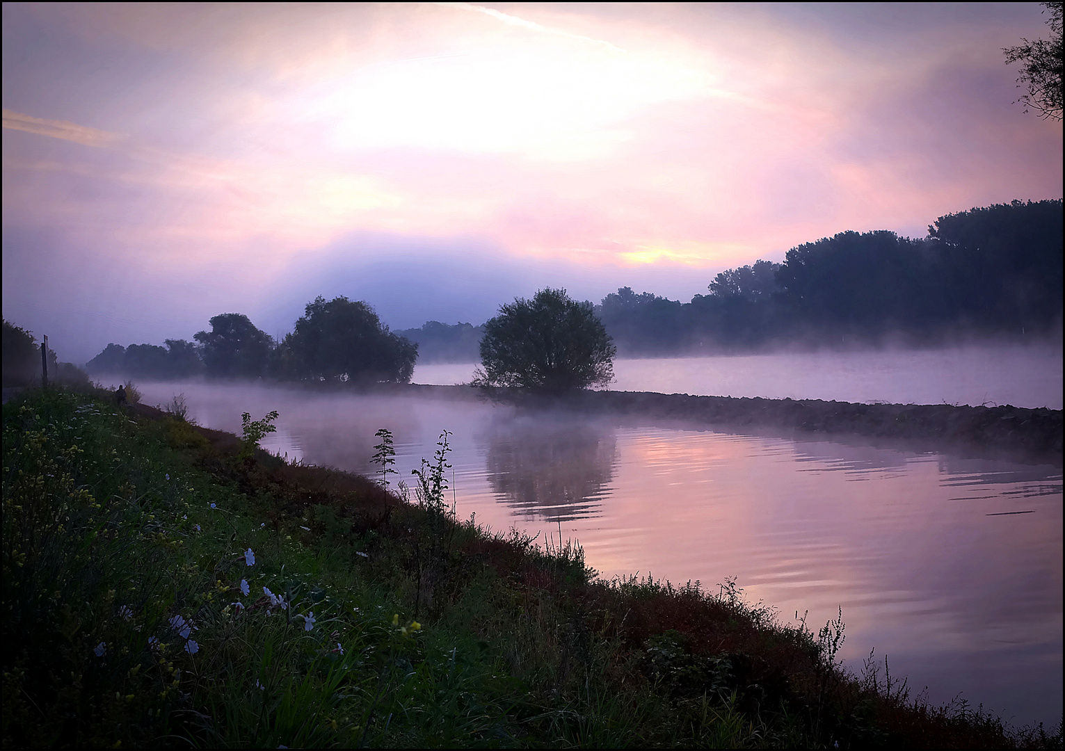 Rhein