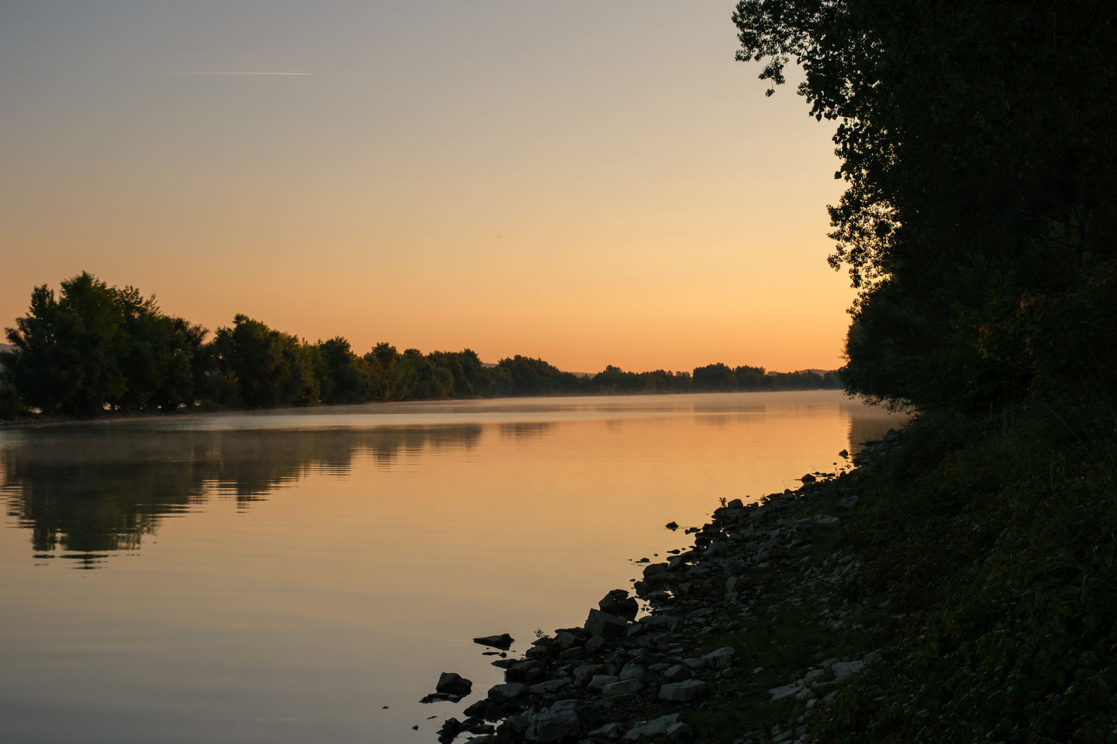 Rhein