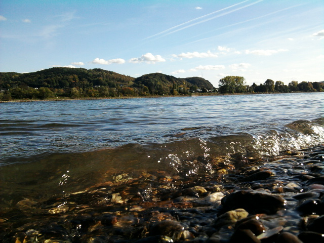 Rhein