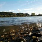 Rhein