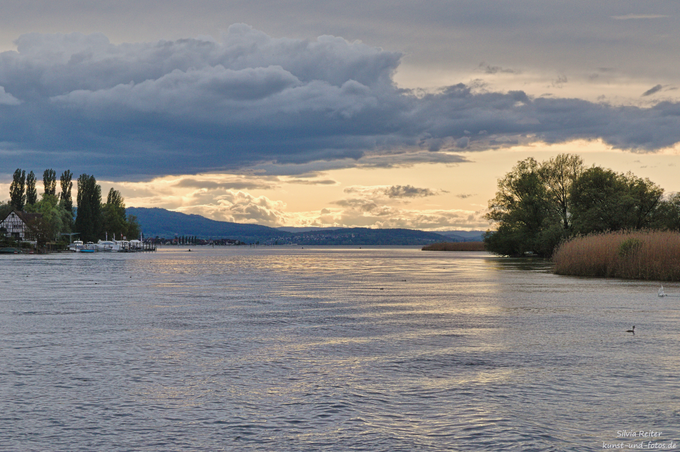 Rhein