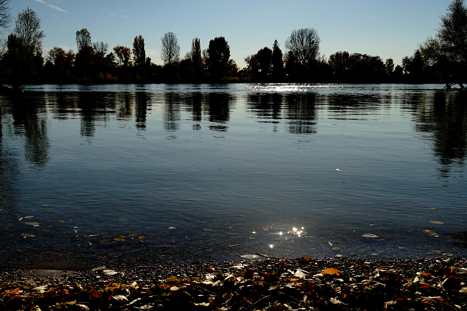 Rhein