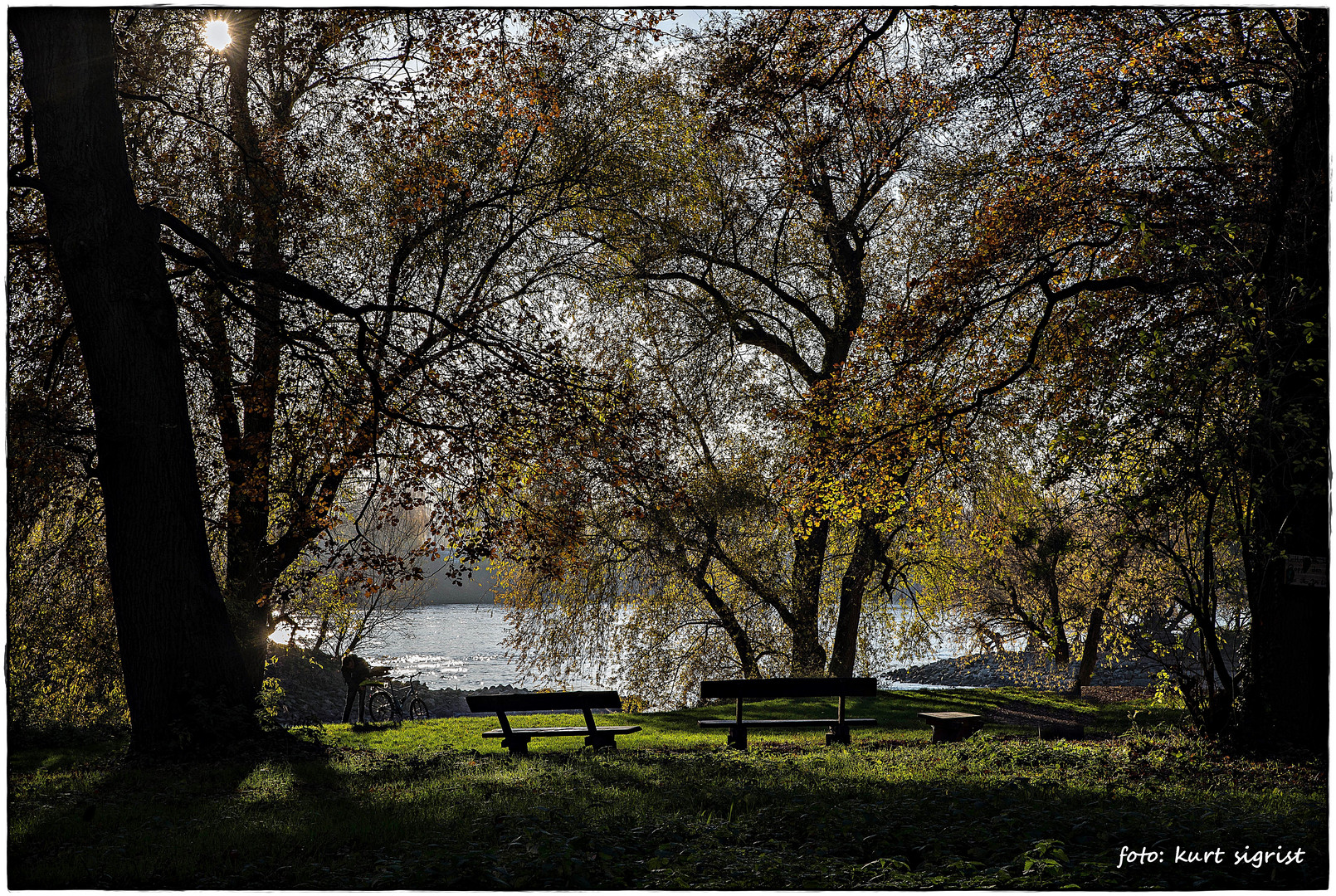 Rhein-Altrhein-Auenwald