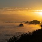 Rhein am Morgen