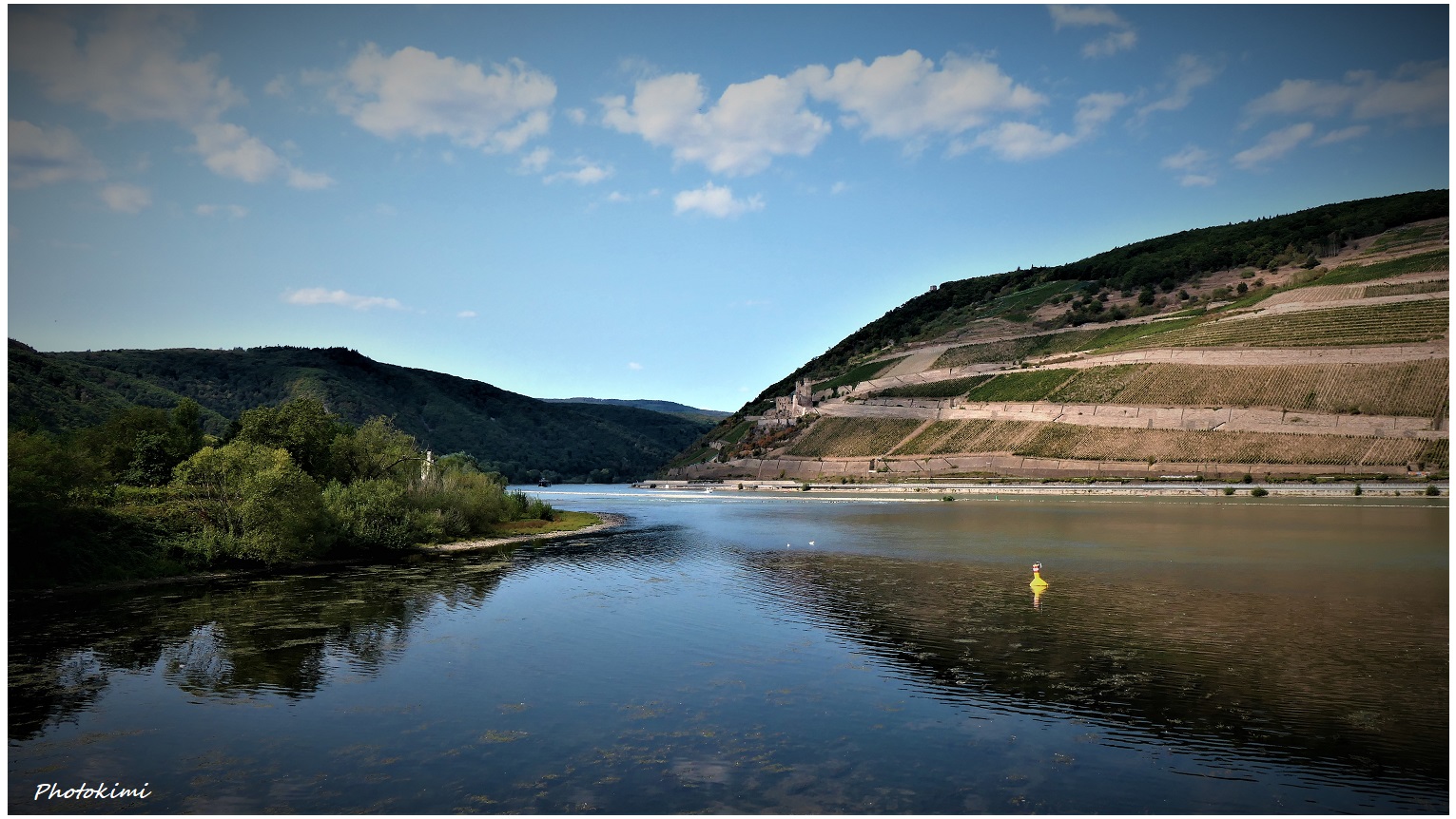 Rhein an der Biegung bei Bingen