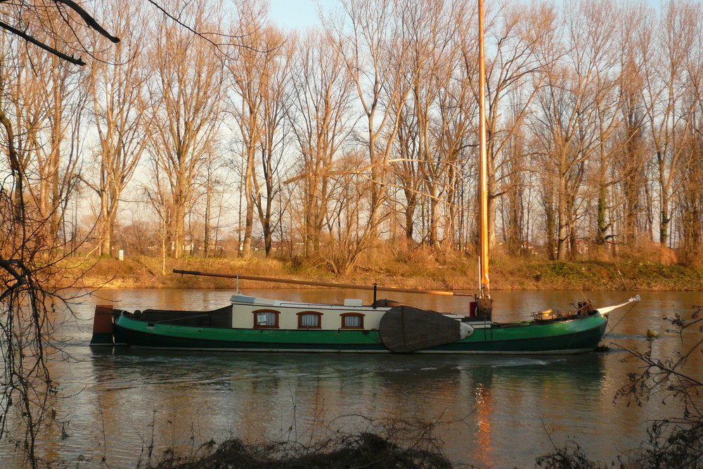 Rhein-Aue Alfter