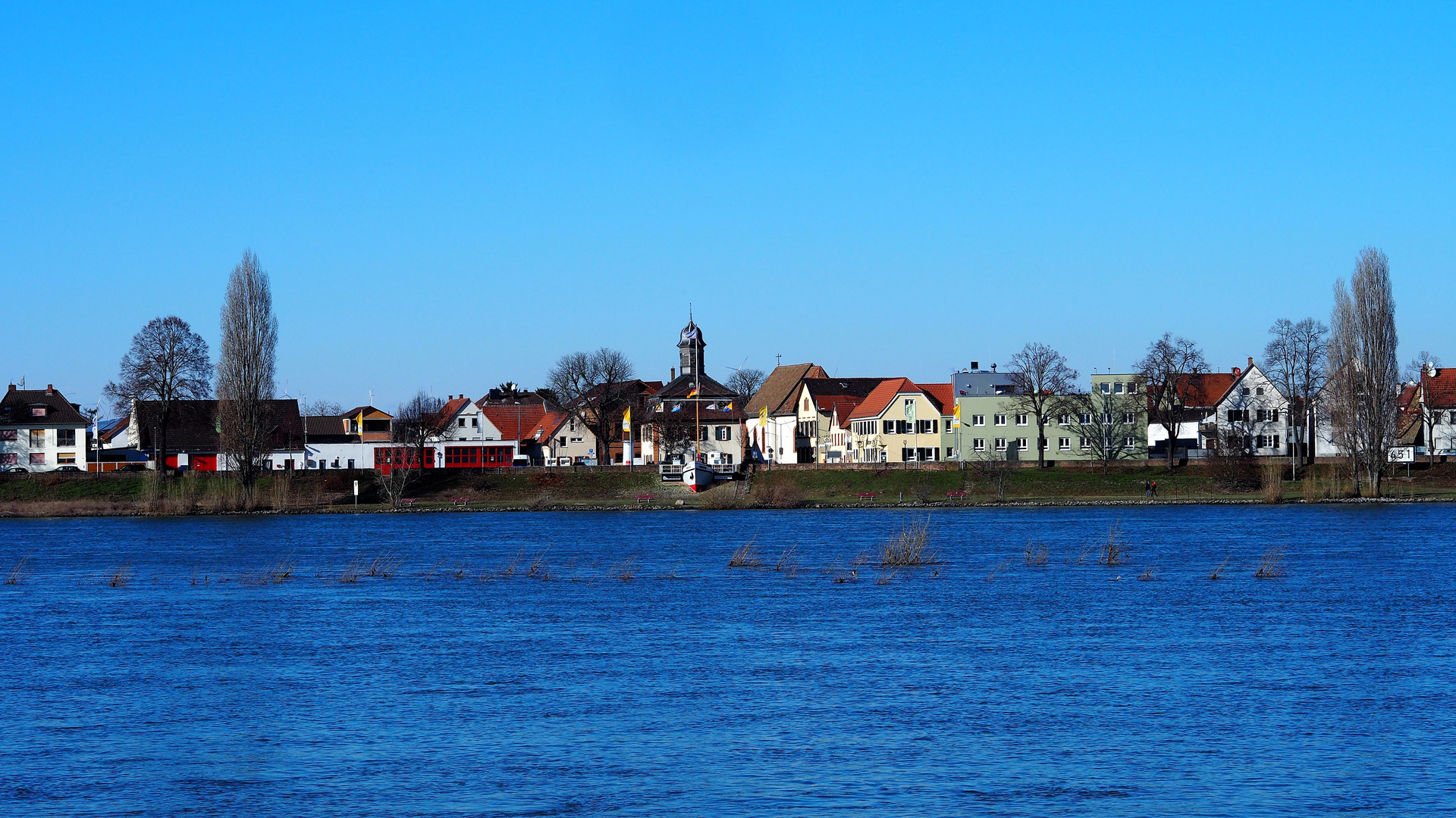 Rhein