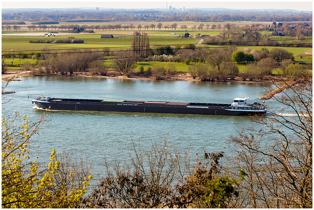 Rhein bei Alsum