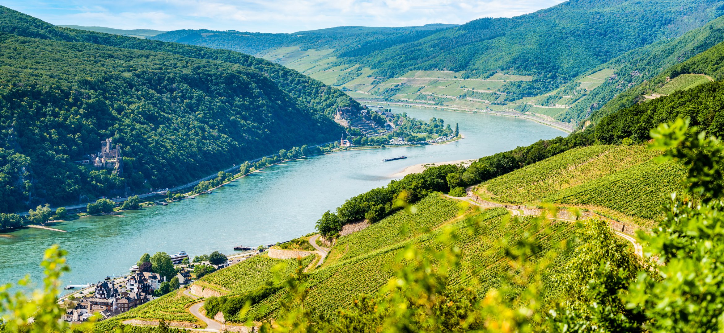 Rhein bei Assmannshausen (5)