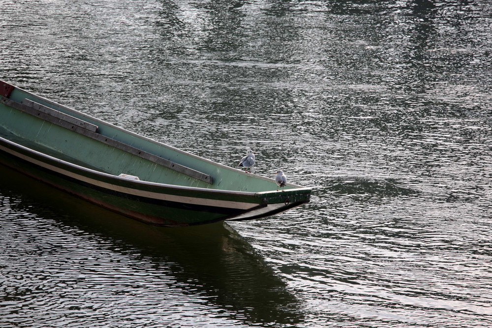 Rhein bei Basel