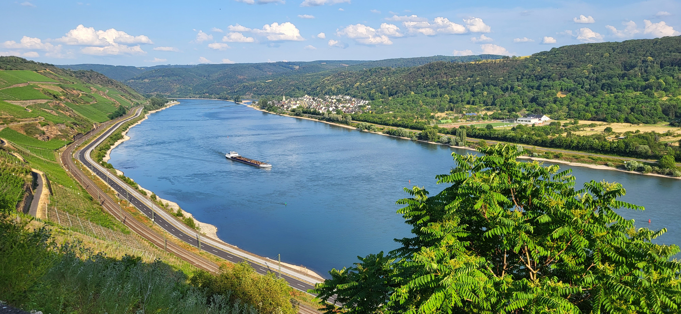 Rhein bei Boppard 