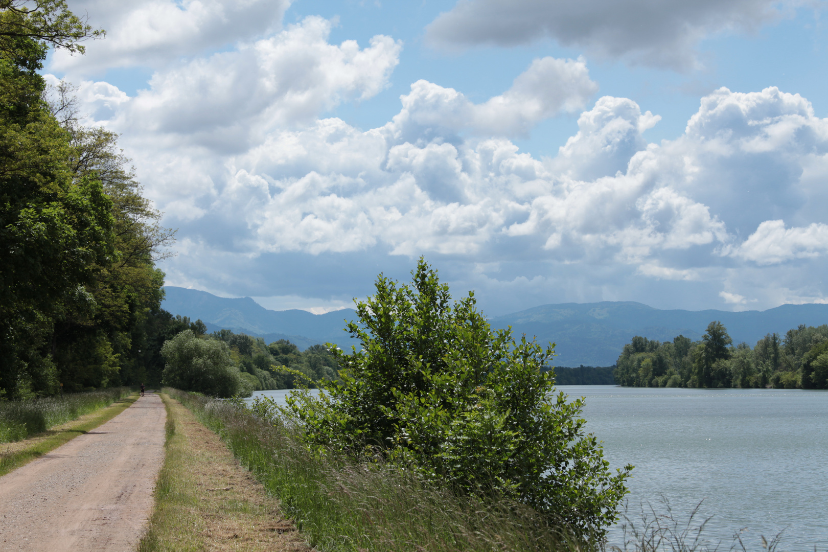 Rhein bei Breisach