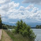 Rhein bei Breisach