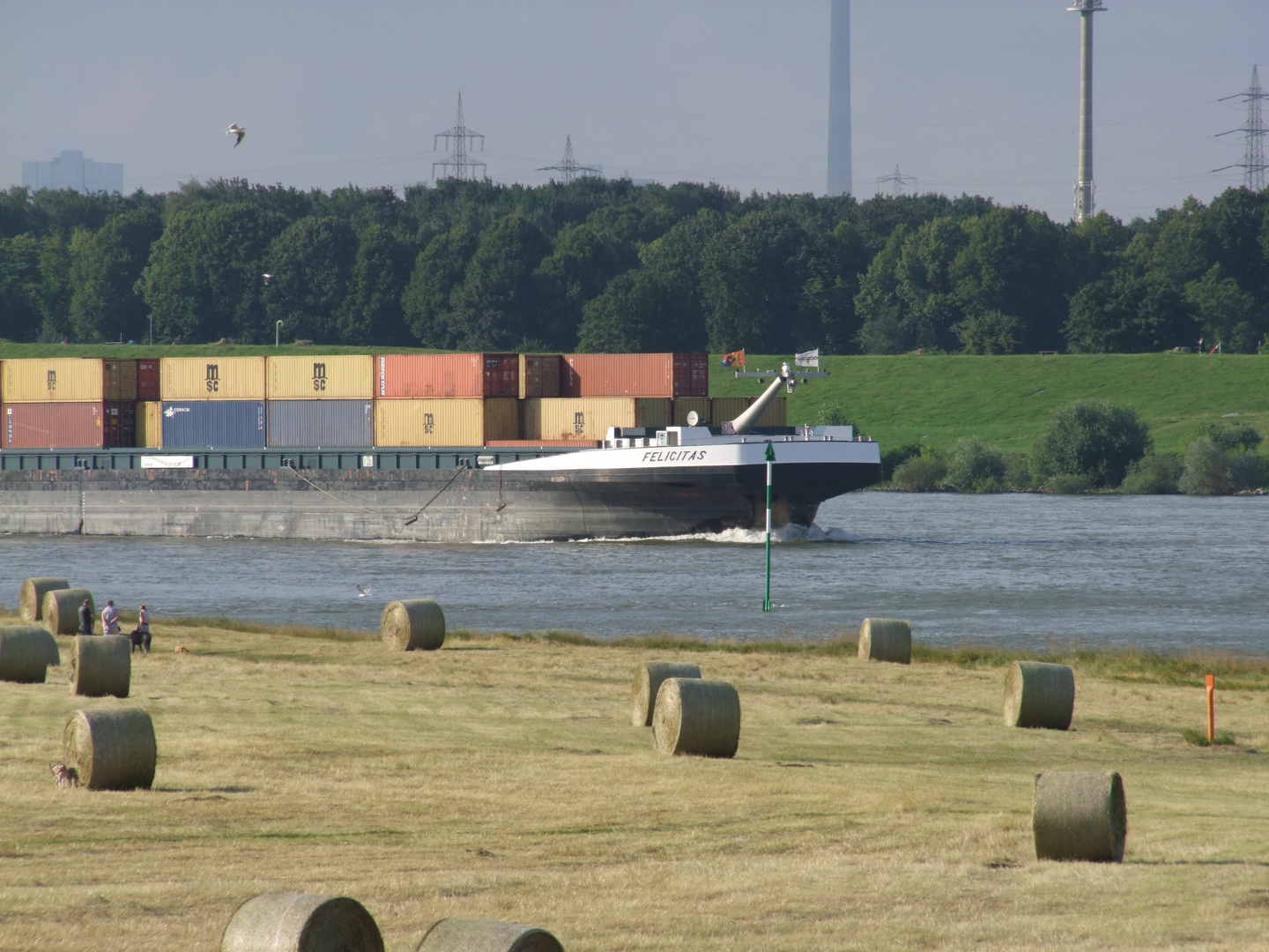Rhein bei Duisburg-Homberg