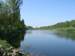 Rhein bei Efringen-Kirchen