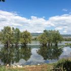 Rhein bei Frei-Weinheim